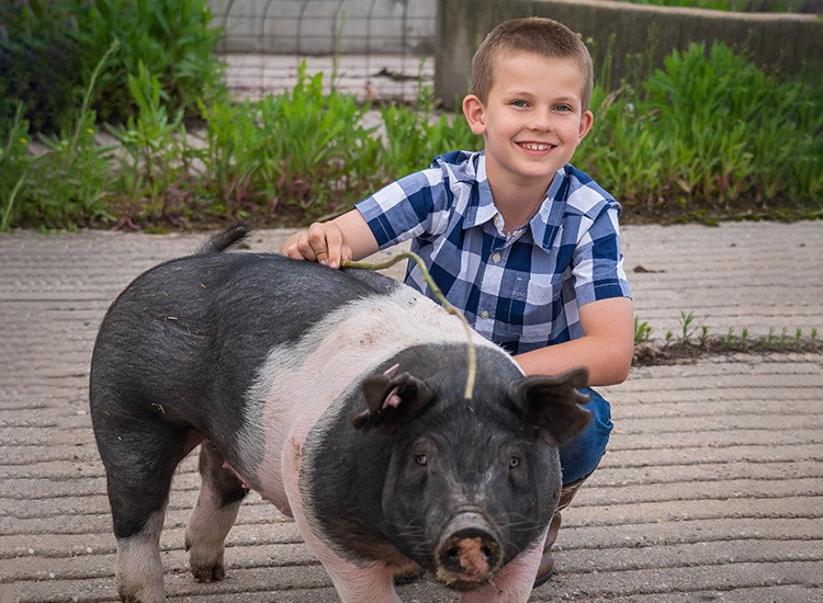 Peshtigo National Bank Awards Scholarships to Over 60 Fair Contestants